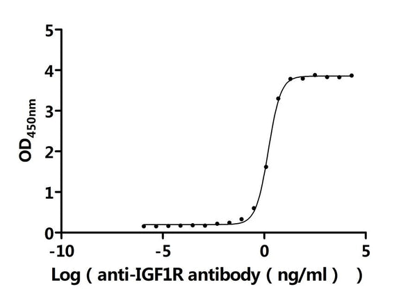 The Binding Activity of Human IGF1R with Anti-IGF1R Recombinant AntibodyActivity: Measured by its binding ability in a functional ELISA. Immobilized Human IGF1R (CSB-MP011087HU1) at 2 μg/mL can bind Anti-IGF1R recombinant antibody. The EC<sub>50</sub> is 1.479-1.702 ng/mL.