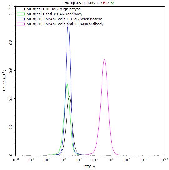 Untransfected MC38 cells and transfected Human TSPAN8 MC38 stable cells were stained with Human IgG1&Igκ Isotype Control (CSB-RA011156MA1HU) and anti-TSPAN8 antibody (CSB-RA025166MA1HU) (2µg/1*10<sup>6</sup>cells) , washed and then followed by FITC-conjugated anti-Human IgG Fc antibody and analyzed with flow cytometry.