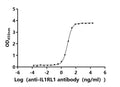 The Binding Activity of Human IL1RL1 with Anti-IL1RL1 recombinant antibodyActivity: Measured by its binding ability in a functional ELISA.Immobilized Human IL1RL1(CSB-MP011626HU) at 2 μg/mL can bind Anti-IL1RL1 recombinant antibody. The EC<sub>50</sub> is 66.366-7.698 ng/mL.