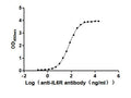 The Binding Activity of Human IL6R with Anti-IL6R Recombinant antibodyActivity: Measured by its binding ability in a functional ELISA. Immobilized Human IL6R (CSB-MP011665HUb0) at 2 μg/mL can bind Anti-IL6R recombinant antibody. The EC<sub>50</sub> is 58.15-65.58 ng/mL.