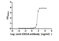 The Binding Activity of Human CXCL8 with Anti-CXCL8 Recombinant antibodyActivity: Measured by its binding ability in a functional ELISA. Immobilized Human CXCL8 (CSB-YP011671HU1) at 2 μg/mL can bind Anti-CXCL8 recombinant antibody. The EC<sub>50</sub> is 43.95-46.76 ng/mL.