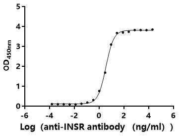 The Binding Activity of Human INSR(short) with Anti-INSR recombinant antibodyActivity: Measured by its binding ability in a functional ELISA.Immobilized Human INSR(CSB-MP011753HU(F2）) at 2 μg/mL can bind Anti-INSR recombinant antibody.The EC<sub>50</sub> is 3.216-3.830 ng/mL.