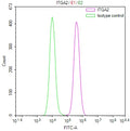 Overlay Peak curve showing BxPC-3 cells stained with CSB-RA011864MA1HU (red line) at 1:100. Then 10% normal goat serum to block non-specific protein-protein interactions followed by the antibody (1ug/1*10 6 cells) for 45min at 4℃. The secondary antibody used was Fluorescein (FITC) AffiniPure Goat Anti-Human IgG, Fcγ fragment specific at 1:200 dilution for 35min at 4℃.Control antibody (green line) was human IgG1 (1ug/1*10 6 cells) used under the same conditions. Acquisition of >10,000 events was performed.