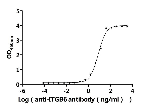 The Binding Activity of Human ITGAV&ITGB6 with Anti-ITGB6 Recombinant AntibodyActivity: Measured by its binding ability in a functional ELISA. Immobilized Human ITGAV&ITGB6 (CSB-MP6145HU) at 2 μg/mL can bind Anti-ITGB6 recombinant antibody. The EC<sub>50</sub> is 7.021-9.054 ng/mL.