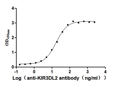 The Binding Activity of Human KIR3DL2 with Anti-KIR3DL2 Recombinant AntibodyActivity: Measured by its binding ability in a functional ELISA. Immobilized Human KIR3DL2(CSB-MP012365HU1) at 2 μg/mL can bind Anti-KIR3DL2 recombinant antibody , the EC<sub>50</sub> is 14.18-23.93 ng/mL.