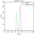Overlay Peak curve showing 3T3 cells surface stained with CSB-RA012882MA1HU (red line) at 1:100. The cells were fixed in 4% formaldehyde (15min) and permeated by 0.2% TritonX-100 for 10min. Then 10% normal goat serum was Incubated to block non-specific protein-protein interactions followed by the antibody (1µg/1*10 6 cells) for 45 min at 4°C. The secondary antibody used was FITC-conjugated Goat Anti-Mouse IgG(H+L) at 1/200 dilution for 35 min at 4°C.