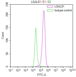 Overlay Peak curve showing 3T3 cells surface stained with CSB-RA012882MA1HU (red line) at 1:100. The cells were fixed in 4% formaldehyde (15min) and permeated by 0.2% TritonX-100 for 10min. Then 10% normal goat serum was Incubated to block non-specific protein-protein interactions followed by the antibody (1µg/1*10 6 cells) for 45 min at 4°C. The secondary antibody used was FITC-conjugated Goat Anti-Mouse IgG(H+L) at 1/200 dilution for 35 min at 4°C.