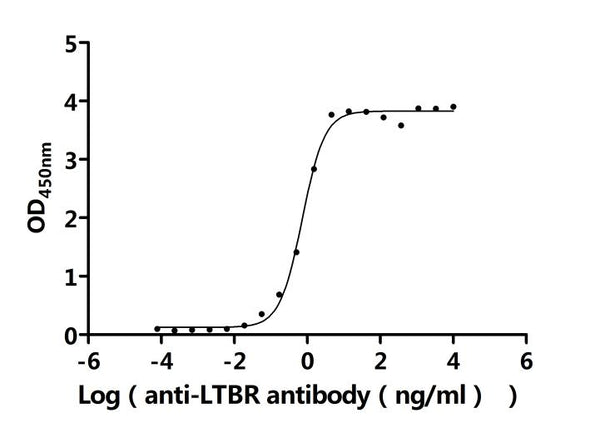 The Binding Activity of Human LTBR with Anti-LTBR Recombinant AntibodyActivity: Measured by its binding ability in a functional ELISA. Immobilized Human LTBR(CSB-MP013227HU1) at 2 μg/mL can bind Anti-LTBR recombinant antibody. The EC<sub>50</sub> is 0.6450-0.8200 ng/mL.