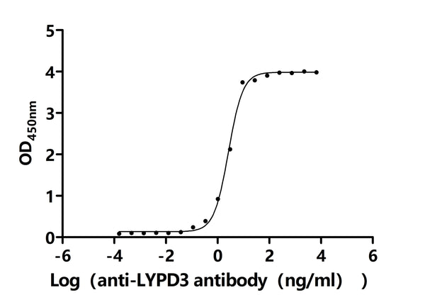 The Binding Activity of Human LYPD3 with Anti-LYPD3 recombinant antibodyActivity: Measured by its binding ability in a functional ELISA.Immobilized Human LYPD3(CSB-MP013263HU) at 2 μg/mL can bind Anti-LYPD3 recombinant antibody. The EC<sub>50</sub> is 2.375-2.905 ng/mL.