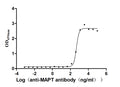 The Binding Activity of Mapt with Anti-MAPT recombinant antibody
Activity: Measured by its binding ability in a functional ELISA. Immobilized Mouse Mapt(CSB-MP013481MO) at 2 μg/ml can bind Anti-MAPT recombinant antibody, the EC<sub>50</sub> is 436.1-518.6 ng/ml.