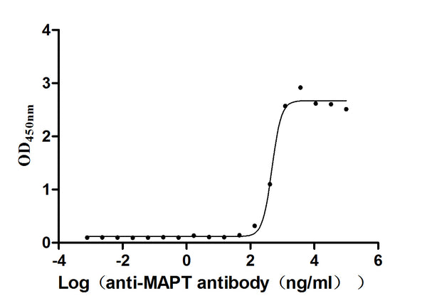The Binding Activity of Mapt with Anti-MAPT recombinant antibody
Activity: Measured by its binding ability in a functional ELISA. Immobilized Mouse Mapt(CSB-MP013481MO) at 2 μg/ml can bind Anti-MAPT recombinant antibody, the EC<sub>50</sub> is 436.1-518.6 ng/ml.