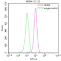 Overlay Peak curve showing SH-SY5Y cells stained with CSB-RA013627MA1HU (red line) at 1:100. The cells were fixed in 4% formaldehyde and permeated by 0.2% TritonX-100 for 10min. Then 10% normal goat serum to block non-specific protein-protein interactions followed by the antibody (1ug/1*10 6 cells) for 45min at 4℃.