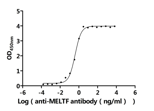 The Binding Activity of Human MELTF with Anti-MELTF Recombinant AntibodyActivity: Measured by its binding ability in a functional ELISA. Immobilized Human MELTF (CSB-MP013754HU1) at 2 μg/mL can bind Anti-MELTF recombinant antibody. The EC<sub>50</sub> is 0.3476-0.4529 ng/mL.