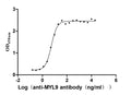 The Binding Activity of Human MYL9 with Anti-MYL9 recombinant antibodyActivity: Measured by its binding ability in a functional ELISA. Immobilized Human MYL9 (CSB-YP015318HU) at 2 μg/mL can bind Anti-MYL9 recombinant antibody, the EC<sub>50</sub> is 4.628-6.430 ng/mL.