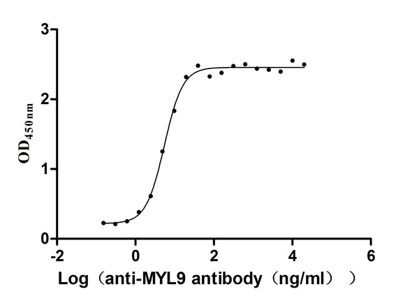 The Binding Activity of Human MYL9 with Anti-MYL9 recombinant antibodyActivity: Measured by its binding ability in a functional ELISA. Immobilized Human MYL9 (CSB-YP015318HU) at 2 μg/mL can bind Anti-MYL9 recombinant antibody, the EC<sub>50</sub> is 4.628-6.430 ng/mL.