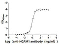 The Binding Activity of Human NCAM1 with Anti-NCAM1 recombinant antibodyActivity: Measured by its binding ability in a functional ELISA.Immobilized Human NCAM1（CSB-MP015511HU1（F2）） at 2 μg/mL can bind Anti-NCAM1 recombinant antibody.The EC<sub>50</sub> is 0.8869-1.024 ng/mL.