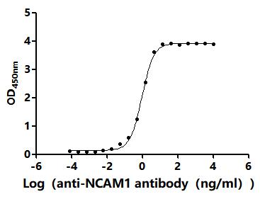 The Binding Activity of Human NCAM1 with Anti-NCAM1 recombinant antibodyActivity: Measured by its binding ability in a functional ELISA.Immobilized Human NCAM1（CSB-MP015511HU1（F2）） at 2 μg/mL can bind Anti-NCAM1 recombinant antibody.The EC<sub>50</sub> is 0.8869-1.024 ng/mL.