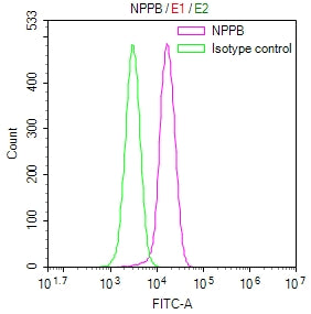 Overlay Peak curve showing 786-O cells stained with CSB-RA016021MA1HU (red line) at 1:100. The cells were fixed in 4% formaldehyde and permeated by 0.2% TritonX-100 for 10min. Then 10% normal goat serum to block non-specific protein-protein interactions followed by the antibody (1ug/1*10 6 cells) for 45min at 4℃.
