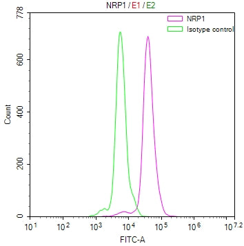Overlay Peak curve showing PC3 cells stained with CSB-RA016091MA1HU (red line) at 1:100. The cells were fixed in 4% formaldehyde and permeated by 0.2% TritonX-100. Then 10% normal goat serum to block non-specific protein-protein interactions followed by the antibody (1ug/1*10 6 cells) for 45min at 4℃. The secondary antibody used was FITC-conjugated Goat Anti-human IgG(H+L) at 1:200 dilution for 35min at 4℃.Control antibody (green line) was human IgG (1ug/1*10 6 cells) used under the same conditions.