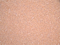 IHC image of CSB-RA016133MA1HU diluted at 1:50 and staining in paraffin-embedded human kidney tissue上腺 performed on a Leica BondTM system. After dewaxing and hydration, antigen retrieval was mediated by high pressure in a citrate buffer (pH 6.0). Section was blocked with 10% normal goat serum 30min at RT. Then primary antibody (1% BSA) was incubated at 4°C overnight. The primary is detected by a Anti-Human lgG, Fcy Fragment Specific labeled by HRP and visualized using 0.05% DAB.