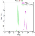 Overlay Peak curve showing JK cells stained with CSB-RA017621MA1HU (red line) at 1:300. The cells were fixed in 4% formaldehyde (15min) and permeated by 0.2% TritonX-100 for 10min. Then 10% normal goat serum was Incubated to block non-specific protein-protein interactions followed by the antibody (1µg/1*10 6 cells) for 45 min at 4°C. The secondary antibody used was FITC-conjugated Goat Anti-Mouse IgG(H+L) at 1/200 dilution for 35 min at 4°C.