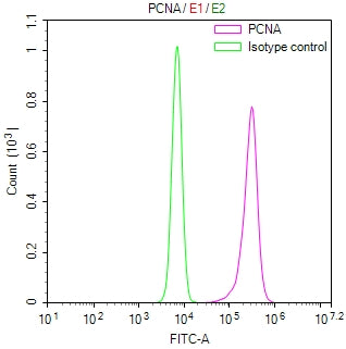 Overlay Peak curve showing JK cells stained with CSB-RA017621MA1HU (red line) at 1:300. The cells were fixed in 4% formaldehyde (15min) and permeated by 0.2% TritonX-100 for 10min. Then 10% normal goat serum was Incubated to block non-specific protein-protein interactions followed by the antibody (1µg/1*10 6 cells) for 45 min at 4°C. The secondary antibody used was FITC-conjugated Goat Anti-Mouse IgG(H+L) at 1/200 dilution for 35 min at 4°C.