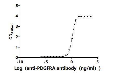 The Binding Activity of Human PDGFRA with Anti-PDGFRA Recombinant antibodyActivity: Measured by its binding ability in a functional ELISA. Immobilized Human PDGFRA (CSB-MP017712HU1) at 2 μg/mL can bind Anti-PDGFRA recombinant antibody. The EC<sub>50</sub> is 0.6497-0.8371 ng/mL.