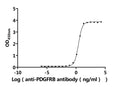 The Binding Activity of Human PDGFRB with Anti-PDGFRB Recombinant antibodyActivity: Measured by its binding ability in a functional ELISA. Immobilized Human PDGFRB (CSB-MP017713HU1) at 2 μg/mL can bind Anti-PDGFRB recombinant antibody. The EC<sub>50</sub> is 2.471-2.776 ng/mL.