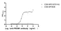 The Binding Activity of PROM1 with Anti-PROM1 recombinant antibodyActivity: Measured by its binding ability in a functional ELISA. Immobilized PROM1 (CSB-MP018751HU(A4) ) at 5 μg/mL can bind Anti-PROM1 recombinant antibody, the EC<sub>50</sub> is 0.4322-0.7189 ng/mL.