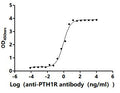 The Binding Activity of Human PTH1R with Anti-PTH1R recombinant antibodyActivity: Measured by its binding ability in a functional ELISA. Immobilized Human PTH1R(CSB-MP018988HU) at 2 μg/mL can bind Anti-PTH1R recombinant antibody. The EC<sub>50</sub> is 0.7813-1.048 ng/mL.