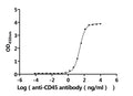 The Binding Activity of Human CD45 with Anti-CD45 recombinant antibodyActivity: Measured by its binding ability in a functional ELISA. Immobilized Human CD45 protein (CSB-MP019049HUc7) at 2 μg/mL can bind Anti-CD45 recombinant antibody. The EC<sub>50</sub> is 25.15-29.54 ng/mL.