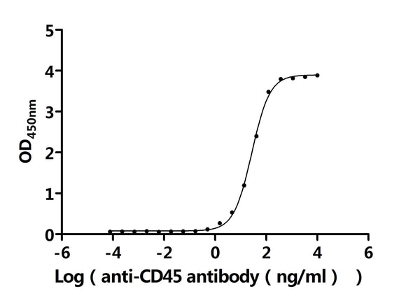 The Binding Activity of Human CD45 with Anti-CD45 recombinant antibodyActivity: Measured by its binding ability in a functional ELISA. Immobilized Human CD45 protein (CSB-MP019049HUc7) at 2 μg/mL can bind Anti-CD45 recombinant antibody. The EC<sub>50</sub> is 25.15-29.54 ng/mL.