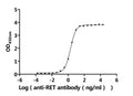 The Binding Activity of Human RET with Anti-RET Recombinant antibodyActivity: Measured by its binding ability in a functional ELISA. Immobilized Human RET (CSB-MP019572HU) at 2 μg/mL can bind Anti-RET recombinant antibody. The EC<sub>50</sub> is 1.857-2.048 ng/mL.