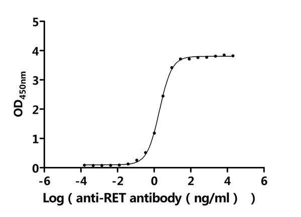 The Binding Activity of Human RET with Anti-RET Recombinant antibodyActivity: Measured by its binding ability in a functional ELISA. Immobilized Human RET (CSB-MP019572HU) at 2 μg/mL can bind Anti-RET recombinant antibody. The EC<sub>50</sub> is 1.857-2.048 ng/mL.