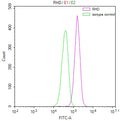 Overlay Peak curve showing Hela cells surface stained with CSB-RA019677MA1HU (red line) at 1:100. Then 10% normal goat serum was Incubated to block non-specific protein-protein interactions followed by the antibody (1µg/1*10 6 cells) for 45 min at 4°C. The secondary antibody used was FITC-conjugated Goat Anti-Mouse IgG(H+L) at 1/200 dilution for 35 min at 4°C. Isotype control antibody (green line) was mouse IgG1 (1µg/1*10 6 cells) used under the same conditions. Acquisition of >10, 000 events was performed.