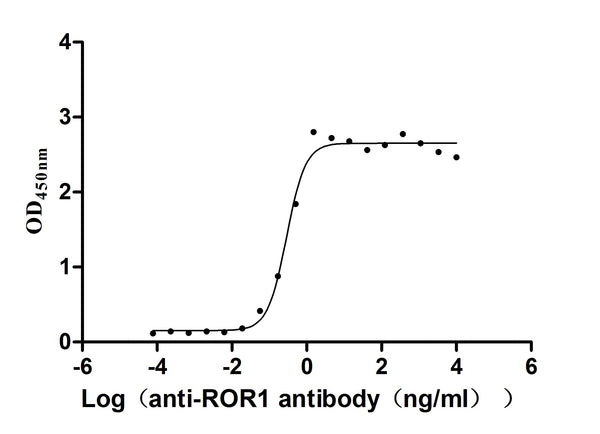 The Binding Activity of ROR1 with Anti-ROR1 recombinant antibody
Activity: Measured by its binding ability in a functional ELISA. Immobilized Human ROR1(CSB-MP020067HU1d7) at 2 μg/mL can bind Anti-ROR1 recombinant antibody, the EC<sub>50</sub> is 0.2450-0.3416 ng/mL.