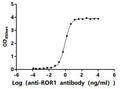 The Binding Activity of Mouse Ror1 with Anti-ROR1 recombinant antibodyActivity: Measured by its binding ability in a functional ELISA.Immobilized Mouse Ror1(CSB-MP4008MO) at 2 μg/mL can bind Anti-ROR1 recombinant antibody. The EC<sub>50</sub> is 0.8551-0.9363 ng/mL.