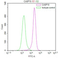 Overlay Peak curve showing K562 cells stained with CSB-RA020488A0HU (red line) at 1:100. The cells were fixed in 4% formaldehyde and permeated by 0.2% TritonX-100 for 10min. Then 10% normal goat serum to block non-specific protein-protein interactions followed by the antibody (1ug/1*10 6 cells) for 45min at 4℃.