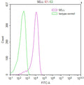 Overlay Peak curve showing Jurkat cells stained with CSB-RA020977MA1HU (red line) at 1:100. Then 10% normal goat serum to block non-specific protein-protein interactions followed by the antibody (1ug/1*10<sup>6</sup>cells) for 45min at 4℃. The secondary antibody used was FITC-conjugated Goat Anti-human IgG(H+L) at 1:200 dilution for 35min at 4℃.Control antibody (green line) was human IgG (1ug/1*10<sup>6</sup>cells) used under the same conditions. Acquisition of >10,000 events was performed.