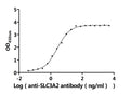 The Binding Activity of Human SLC3A2 with Anti-SLC3A2 recombinant antibodyActivity: Measured by its binding ability in a functional ELISA. Immobilized Human SLC3A2 protein (CSB-MP021640HU1) at 2 μg/mL can bind Anti-SLC3A2 recombinant antibody. The EC<sub>50</sub> is 2.257-3.091 ng/mL.