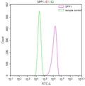 Overlay Peak curve showing A549 cells stained with CSB-RA022603MA1HU (red line) at 1:100. Then 10% normal goat serum was Incubated to block non-specific protein-protein interactions followed by the antibody (1µg/1*10 6 cells) for 45 min at 4°C. The secondary antibody used was FITC-conjugated Goat Anti-Mouse IgG(H+L) at 1/200 dilution for 35 min at 4°C. Isotype control antibody (green line) was mouse IgG1 (1µg/1*10 6 cells) used under the same conditions. Acquisition of >10, 000 events was performed.