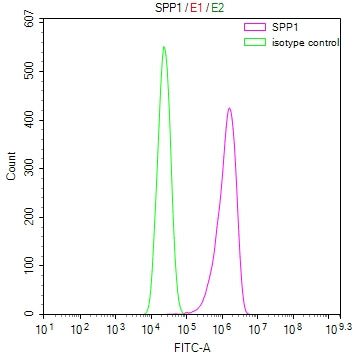 Overlay Peak curve showing A549 cells stained with CSB-RA022603MA1HU (red line) at 1:100. Then 10% normal goat serum was Incubated to block non-specific protein-protein interactions followed by the antibody (1µg/1*10 6 cells) for 45 min at 4°C. The secondary antibody used was FITC-conjugated Goat Anti-Mouse IgG(H+L) at 1/200 dilution for 35 min at 4°C. Isotype control antibody (green line) was mouse IgG1 (1µg/1*10 6 cells) used under the same conditions. Acquisition of >10, 000 events was performed.
