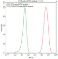 Untransfected CT26 cells surface (green line) and transfected Human SSTR2 CT26 stable cells surface (red line) were stained with anti-SSTR2 recombinant antibody (2µg/1*10<sup>6</sup>cells) , washed and then followed by APC-conjugated anti-Human IgG Fc antibody and analyzed with flow cytometry.