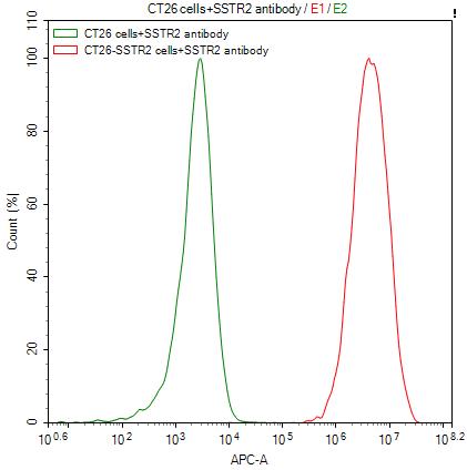 Untransfected CT26 cells surface (green line) and transfected Human SSTR2 CT26 stable cells surface (red line) were stained with anti-SSTR2 recombinant antibody (2µg/1*10<sup>6</sup>cells) , washed and then followed by APC-conjugated anti-Human IgG Fc antibody and analyzed with flow cytometry.