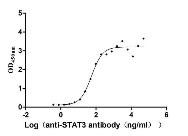 The Binding Activity of Human STAT3 with Anti-STAT3 Recombinant AntibodyActivity: Measured by its binding ability in a functional ELISA. Immobilized Human STAT3 (CSB-BP022812HU(A4) j7) at 2 μg/mL can bind Anti-STAT3 recombinant antibody , the EC<sub>50</sub> is 41.31-75.59 ng/mL.