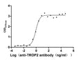 The Binding Activity of Huamn TROP2 with Anti-TROP2 recombinant AntibodyActivity: Measured by its binding ability in a functional ELISA. Immobilized Human TROP2 (CSB-MP023072HU1d7) at 2 μg/mL can bind Anti-TROP2 recombinant antibody, the EC<sub>50</sub> is 0.7284-1.075 ng/mL.