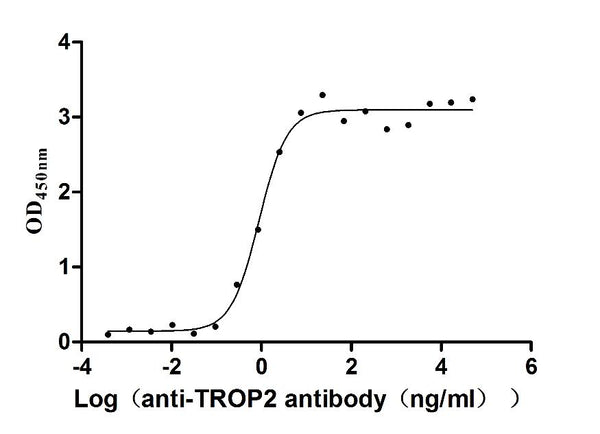 The Binding Activity of Huamn TROP2 with Anti-TROP2 recombinant AntibodyActivity: Measured by its binding ability in a functional ELISA. Immobilized Human TROP2 (CSB-MP023072HU1d7) at 2 μg/mL can bind Anti-TROP2 recombinant antibody, the EC<sub>50</sub> is 0.7284-1.075 ng/mL.