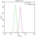 Overlay Peak curve showing Hela cells stained with CSB-RA023105MA1HU (red line) at 1:200. The cells were fixed in 4% formaldehyde and permeated by 0.2% TritonX-100. Then 10% normal goat serum to block non-specific protein-protein interactions followed by the antibody (1ug/1*10 6 cells) for 45min at 4℃. The secondary antibody used was FITC-conjugated Goat Anti-Mouse IgG(H+L) at 1:200 dilution for 35min at 4℃.Control antibody (green line) was mouse IgG (1ug/1*10 6 cells) used under the same conditions.