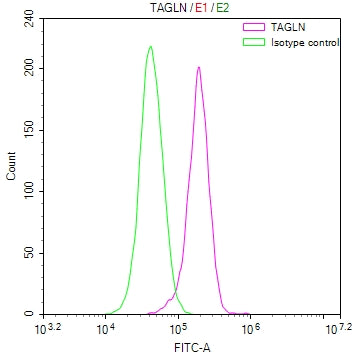 Overlay Peak curve showing Hela cells stained with CSB-RA023105MA1HU (red line) at 1:200. The cells were fixed in 4% formaldehyde and permeated by 0.2% TritonX-100. Then 10% normal goat serum to block non-specific protein-protein interactions followed by the antibody (1ug/1*10 6 cells) for 45min at 4℃. The secondary antibody used was FITC-conjugated Goat Anti-Mouse IgG(H+L) at 1:200 dilution for 35min at 4℃.Control antibody (green line) was mouse IgG (1ug/1*10 6 cells) used under the same conditions.