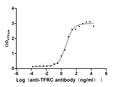 The Binding Activity of Human TFRC with Anti-TFRC Recombinant AntibodyActivity: Measured by its binding ability in a functional ELISA. Immobilized Human TFRC (CSB-MP3648HU) at 2 μg/mL can bind Anti-TFRC recombinant antibody , the EC<sub>50</sub> is 3.305-8.220 ng/mL.